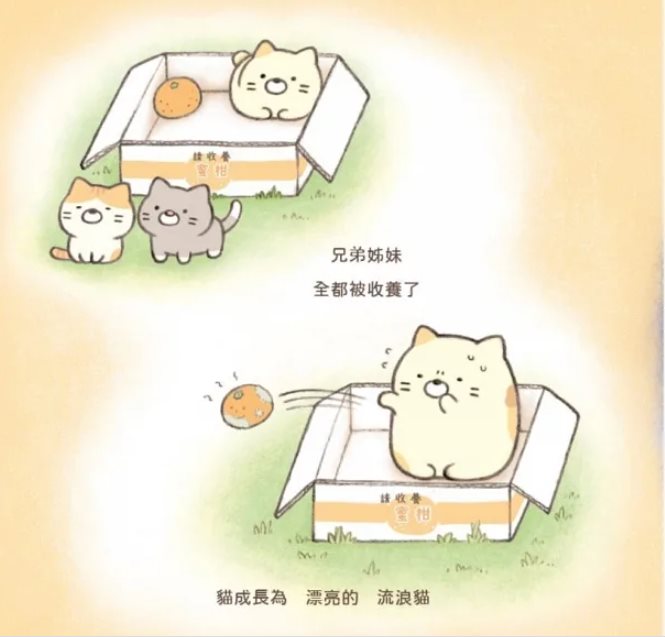 貓繪本：角落小夥伴天空藍的每一天